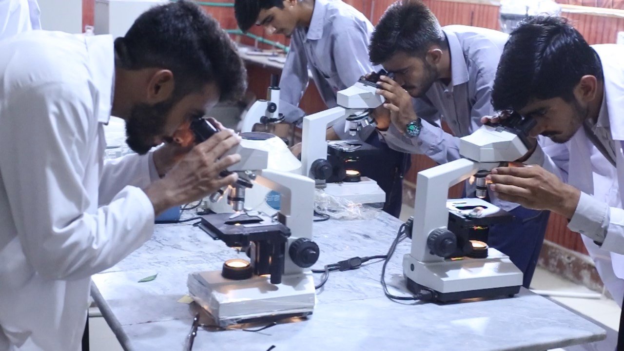 Microscope lab session at Al Hadi College